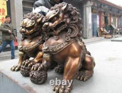 12 Royal Chinois Bronze Copper Evil Fengshui Fu Foo Doo Dog Paire Lion Lion