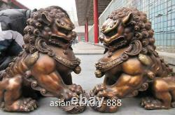 12 Royal Chinois Bronze Copper Evil Fengshui Fu Foo Doo Dog Paire Lion Lion