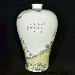 16 Marqué Chinese Famille Rose Porcelaine Paon Oiseaux Fleur Plum Vase De Bouteille