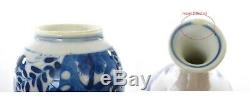17c Chinois Kangxi Bleu Et Blanc Porcelaine Prunier Bouteille Oiseaux Vase En L'état