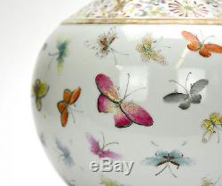 19ème Siècle Chinois Qing Guangxu Famille Rose Vase Globulaire En Porcelaine De 100 Papillons