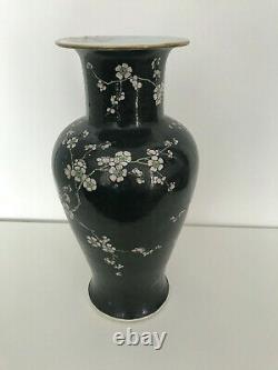 19ème Siècle, Porcelaine Vernie Noire Chinoise Vase (dynastie Qing)