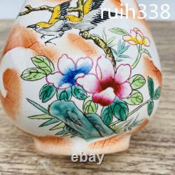 7.6 Old Chinese Song Dynastie Ru Porcelaine Dessin À La Main Fleur Modèle Bouteille