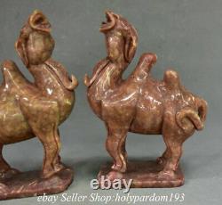 9.6 Paire De Sculpture De Chameau D'animaux Sculptés Xiu Vieux Chinois
