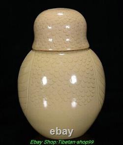 9 Vieilles dynasties chinoises, pot en céramique de la dynastie Yue avec une tête d'oiseau hibou, dans le palais