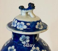 Antique Chinois Bleu Et Blanc Pot Prunus 4 Caractères Mark Kangxi 13 Ins Grand