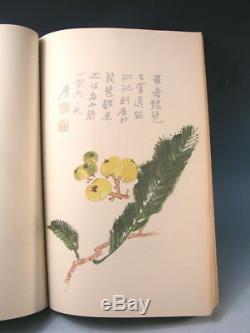 Antique Rares Peintures Chinoises (16) Grand Livre Suisse