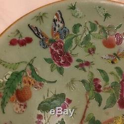 Antique Rose Famille Chinoise Cantonais Assiette En Porcelaine Peinte À La Main Qing