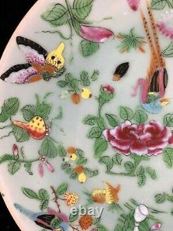 Assiette De Porcelaine Aux Fleurs Et Papillons De Chine Ancienne Famille Rose