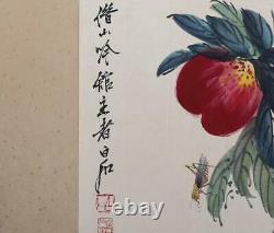 Beaux Peint À La Main Peinture Chinoise Rouleau Livre Qi Baishi Mark 600cm (k25)
