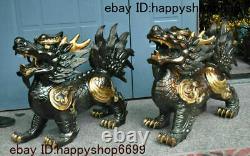Chinen Bronze Fengshui Dragon Tête Pixiu Brave Troupes Licorne Bête Statue Paire