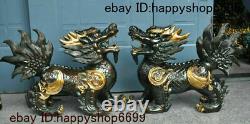 Chinen Bronze Fengshui Dragon Tête Pixiu Brave Troupes Licorne Bête Statue Paire