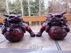 Chinois Feng Shui Chanceux Lion Foo Dogs Statue