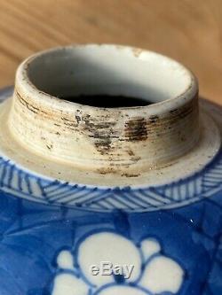 Chinois Kangxi Période Porcelaine Glace Prune Bleu Et Blanc Jar 18 C