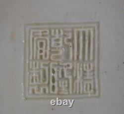 Cou D’ail Chinois Dragon Phoenix Relief Vase En Porcelaine Qianlong Mark 19e C