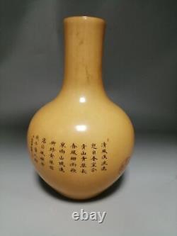 Couleur Chinoise Porcelaine Faite À La Main Vases De Bovins Exquis 9003