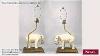 Lampe De Table Asiatique Antique Éclairage Chinois À Vendre