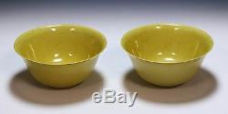 Paire Big Chinois Antique Jaune Émaillés Bols En Porcelaine