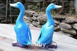 Paire D'antiquités Chinoises Export Turquoise Blue Porcelaine Figural Canards 10 Pouces
