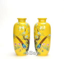 Paire De Vases En Porcelaine Émaillée Famille Rose Émaillés Jaunes, Chine