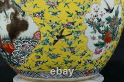 Porcelaine Chinoise Famille Jaune Yellow Glaze Fish Bowl Jardiniere Planter 19e C
