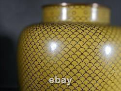 Rare Antique Chinese Cloisonné Échelle De Poisson Style Urne Jaune/vase
