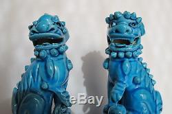 Rare Paire Anciennes En Porcelaine Foo Chien Turquoise Bleu Chinois De Chine En Bois