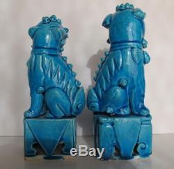 Rare Paire Anciennes En Porcelaine Foo Chien Turquoise Bleu Chinois De Chine En Bois