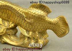 Statue de poisson-dragon doré en cuivre et laiton Feng shui de richesse animale Ru yi 14 chinois
