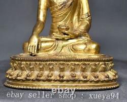 Statue du Bouddha chinois en bronze doré du bouddhisme Shakyamuni Sakyamuni Amitabha 7.8