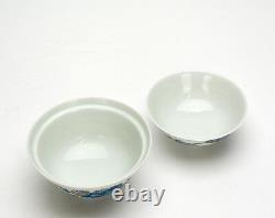 Superbe Ensemble De Chinois Qing Style Doucai Floral Porcelaine Bowl Avec Couvercle