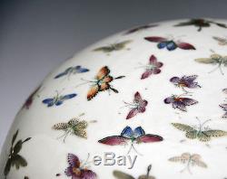 Une Boîte En Porcelaine Lourde Rose Papillon Très Rare De La Famille Chinoise