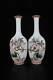 Vase En Porcelaine Pastel Chinoise Faite à La Main Avec Des Fleurs Et Des Oiseaux Exquis - Une Paire Ad1712