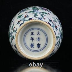 Vases en porcelaine chinoise Doucai faits à la main avec motifs exquis de fleurs et de plantes 75086